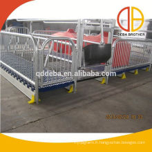 Nouveau produit chine leader sow cage de mise bas